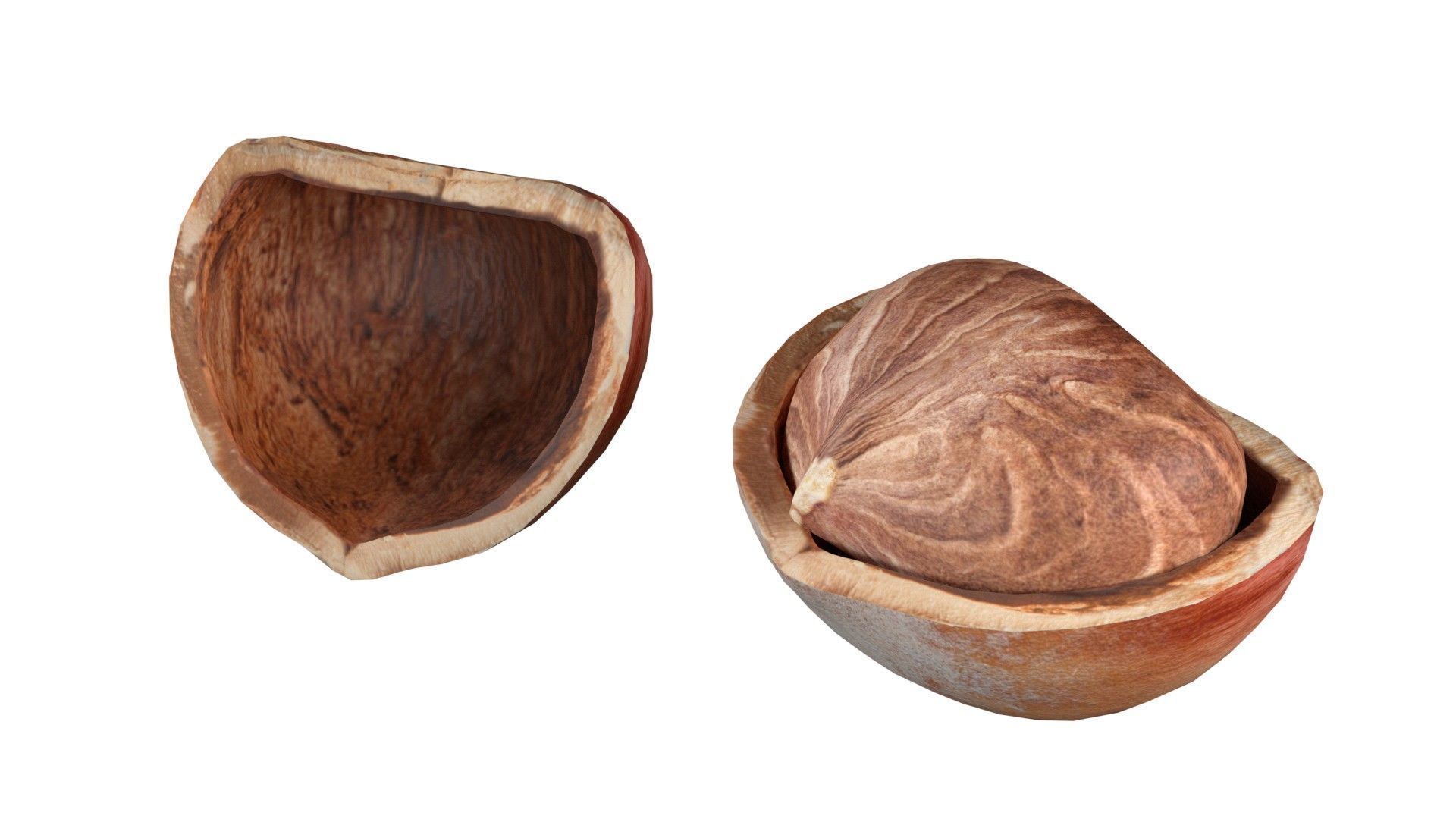 Hazelnut collection  Low-poly 3D model_8