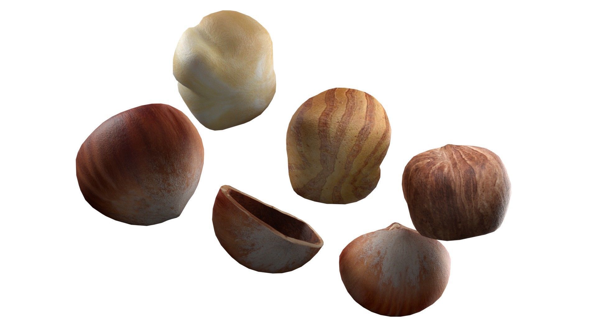 Hazelnut collection  Low-poly 3D model_6
