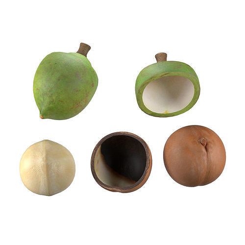Macadamia nut collection  Low-poly 3D model