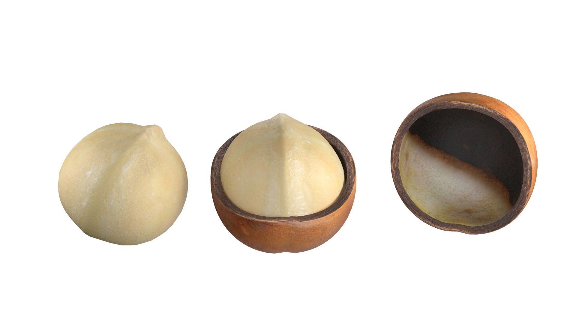 Macadamia Nut kernel and half  Low-poly 3D model_1