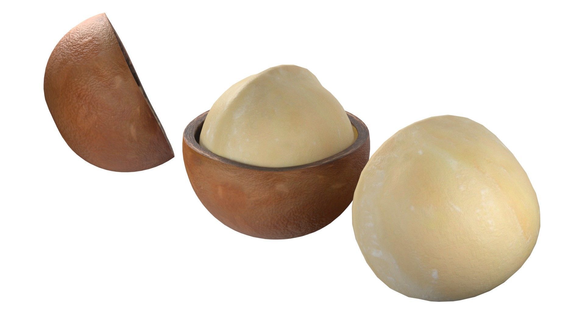 Macadamia Nut kernel and half  Low-poly 3D model_5