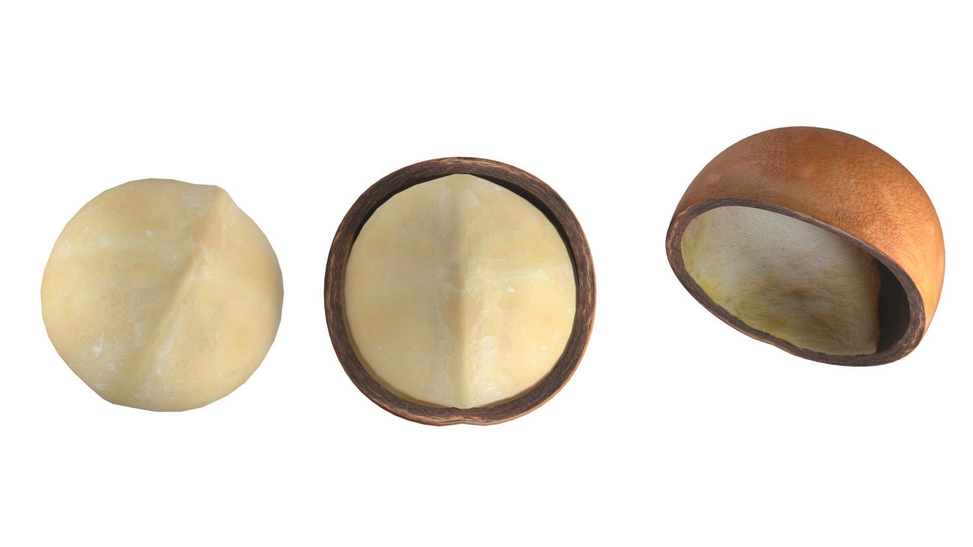Macadamia Nut kernel and half  Low-poly 3D model_3