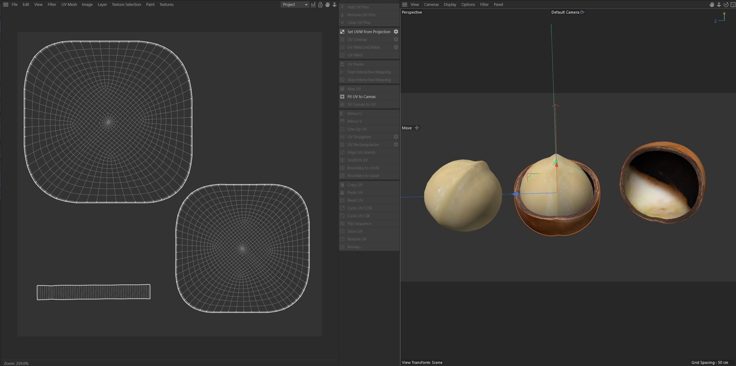 Macadamia Nut kernel and half  Low-poly 3D model_8