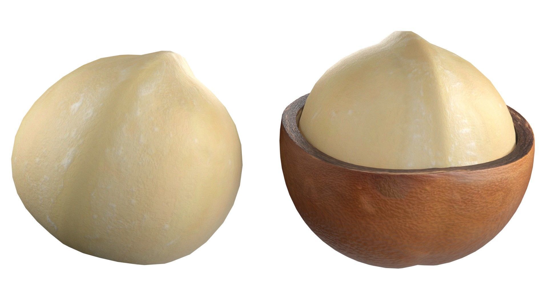 Macadamia Nut kernel and half  Low-poly 3D model_4