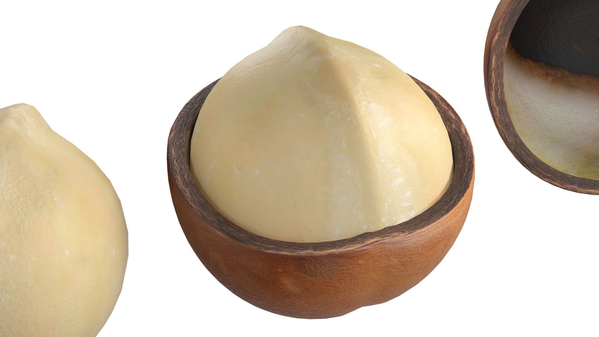 Macadamia Nut kernel and half  Low-poly 3D model_6