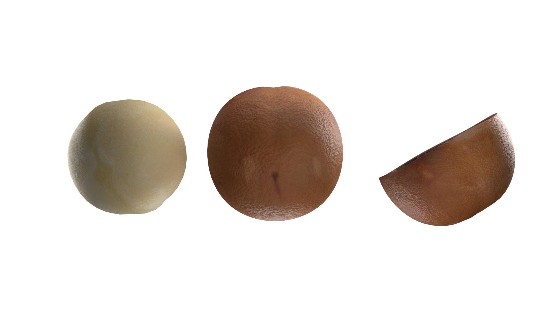 Macadamia Nut kernel and half  Low-poly 3D model_7
