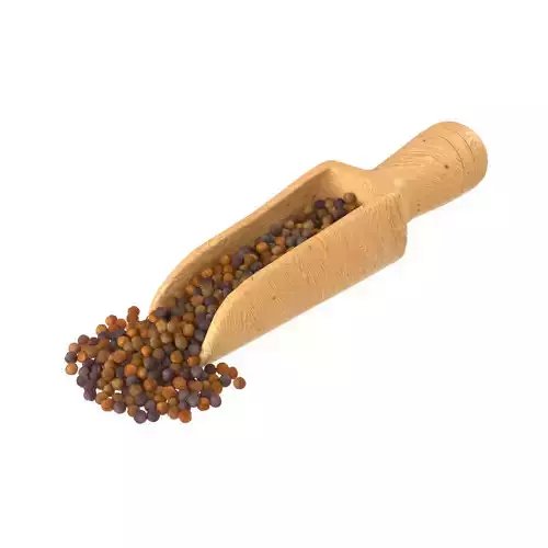 Mustard seed scoop Scoop  