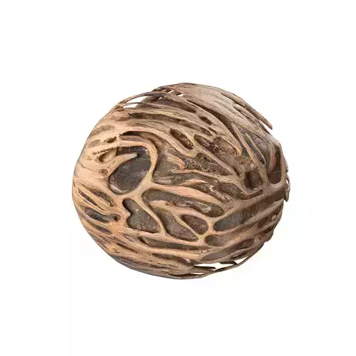 Othalanga Pong Pong Seed 