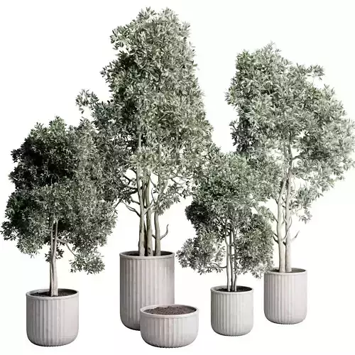 Tree in an concrete dirty vase indoor plant 436