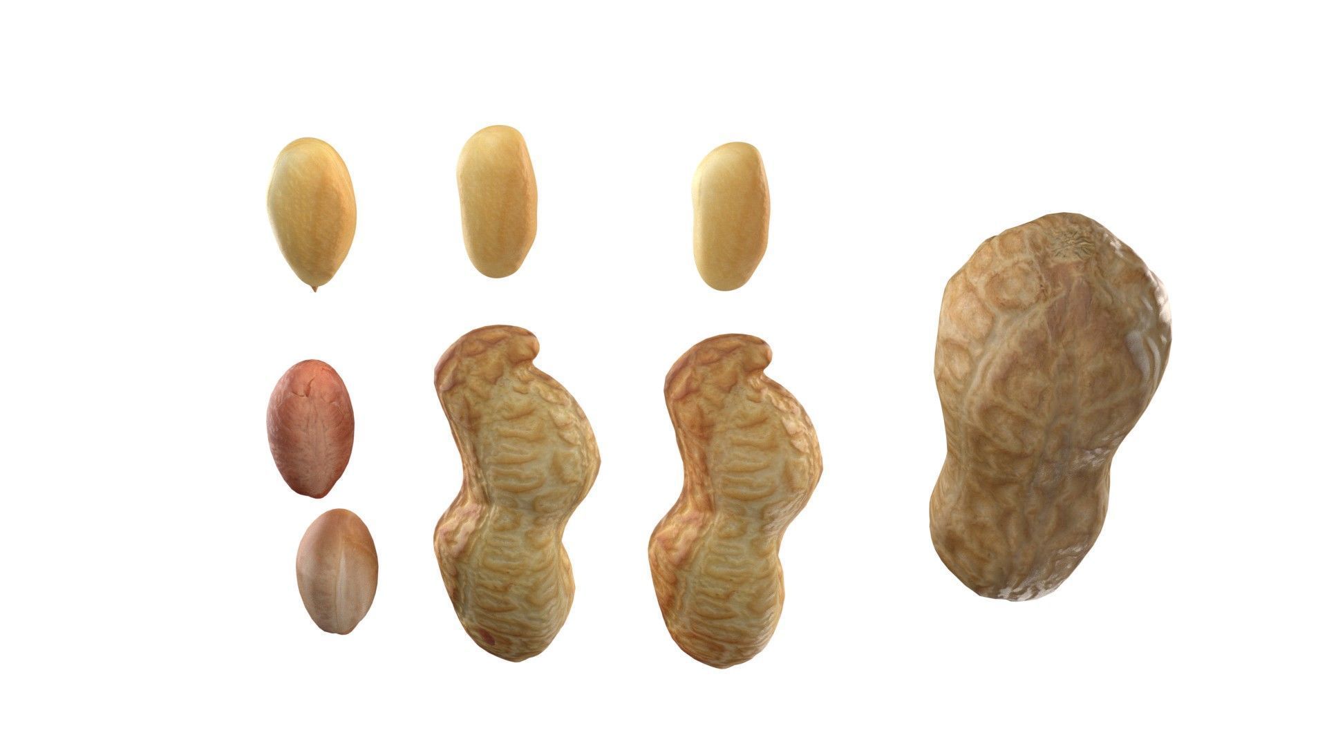 Peanut collection  Low-poly 3D model_7