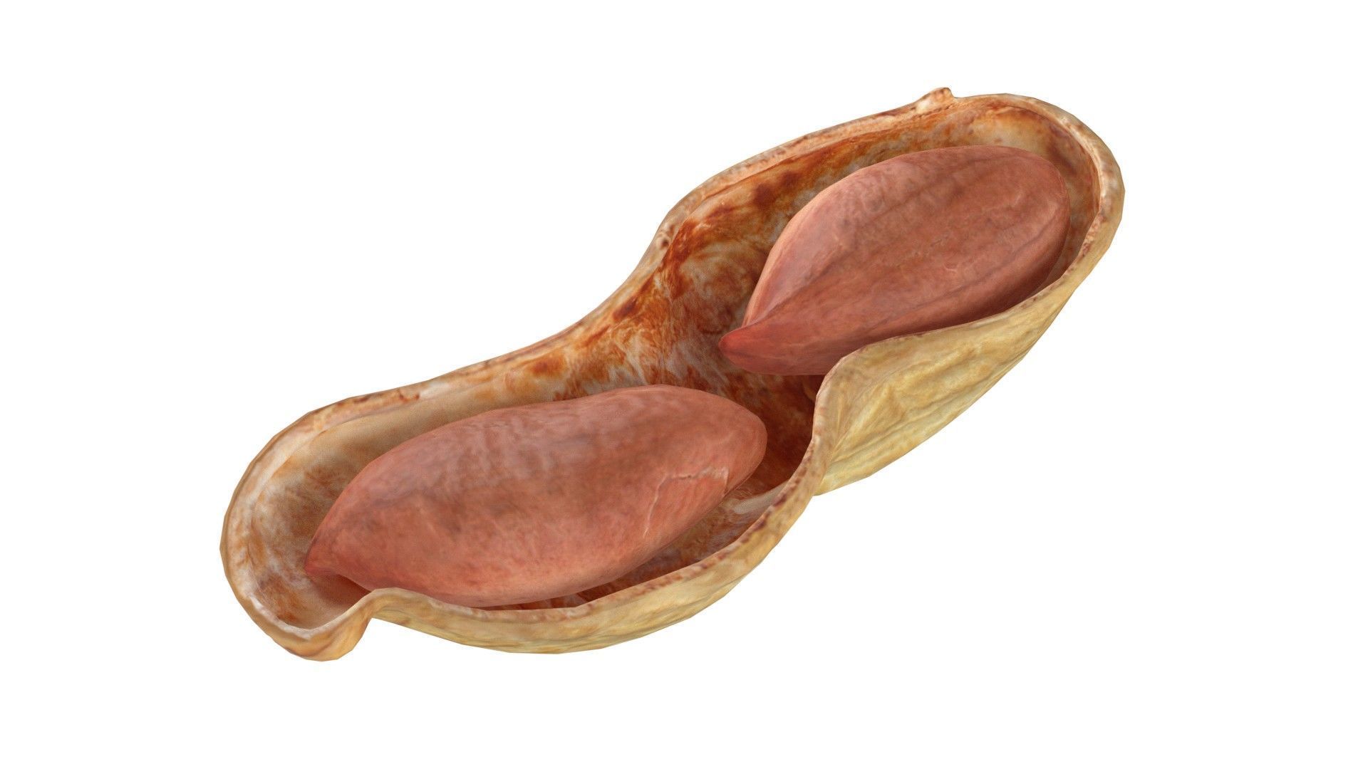 Peanut collection  Low-poly 3D model_6