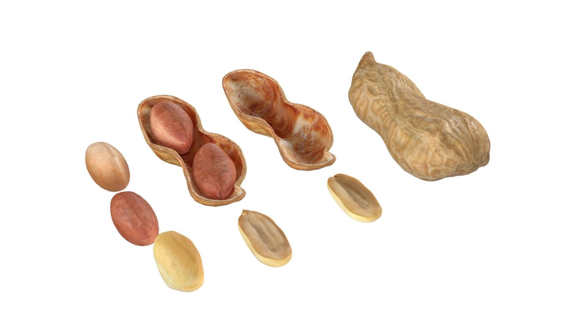 Peanut collection  Low-poly 3D model_4