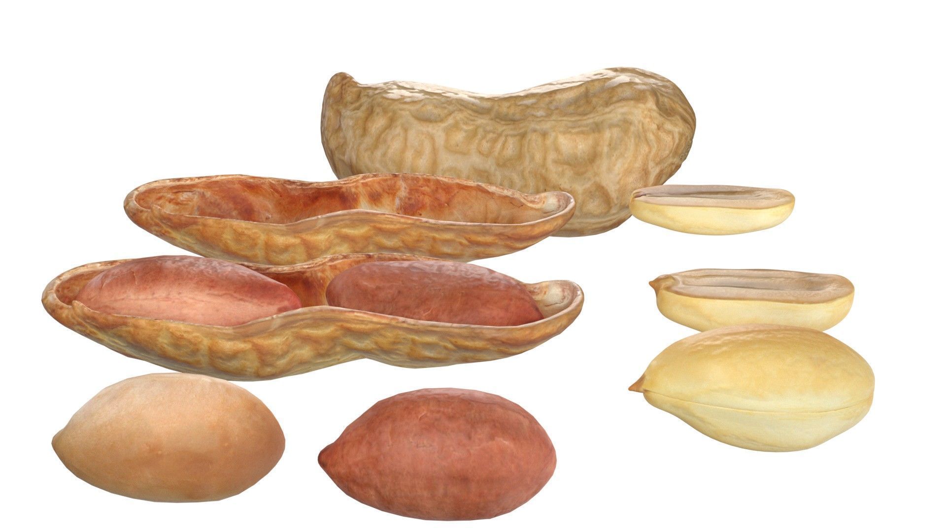 Peanut collection  Low-poly 3D model_8