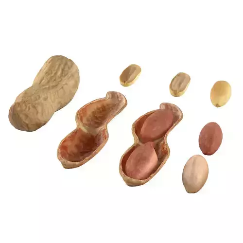 Peanut collection 