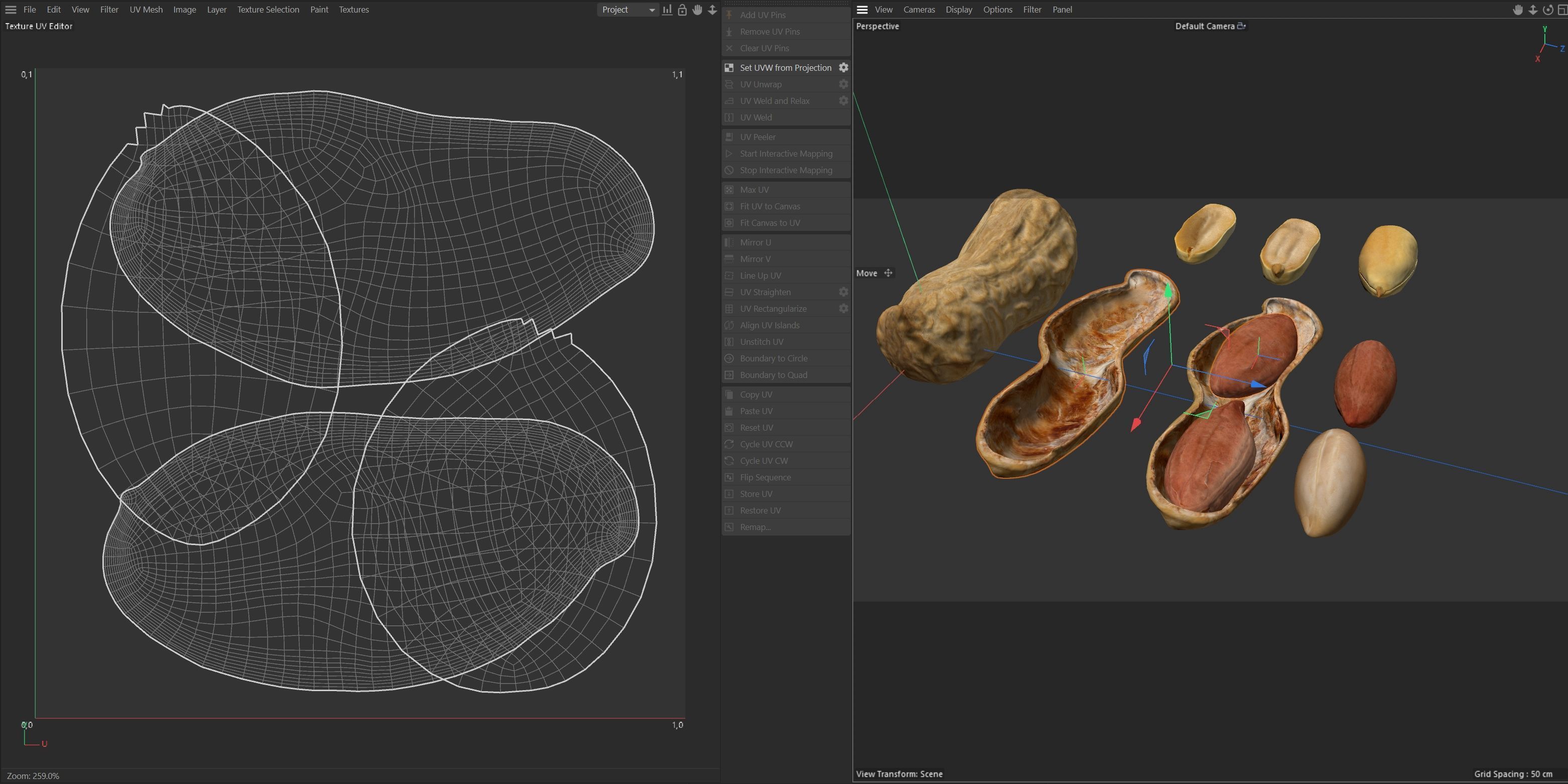 Peanut collection  Low-poly 3D model_9