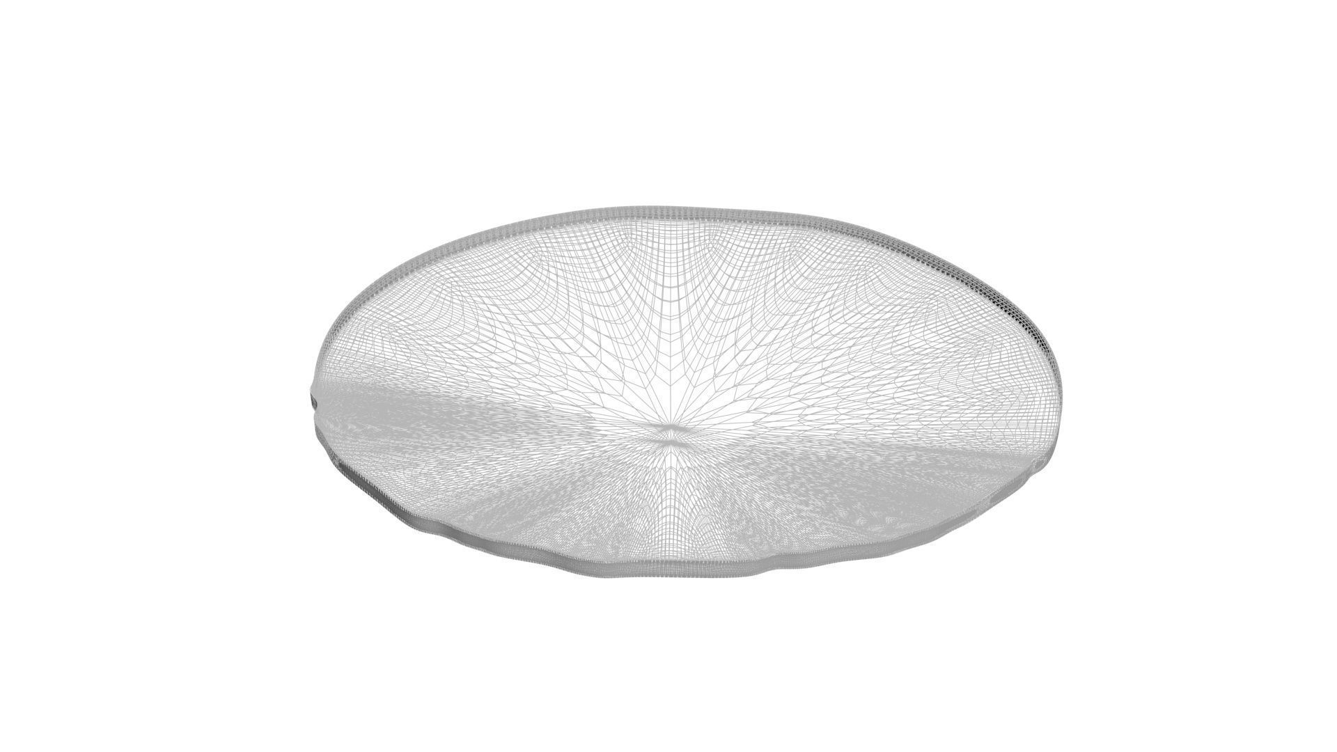 Sliced Lemon 3D model_20