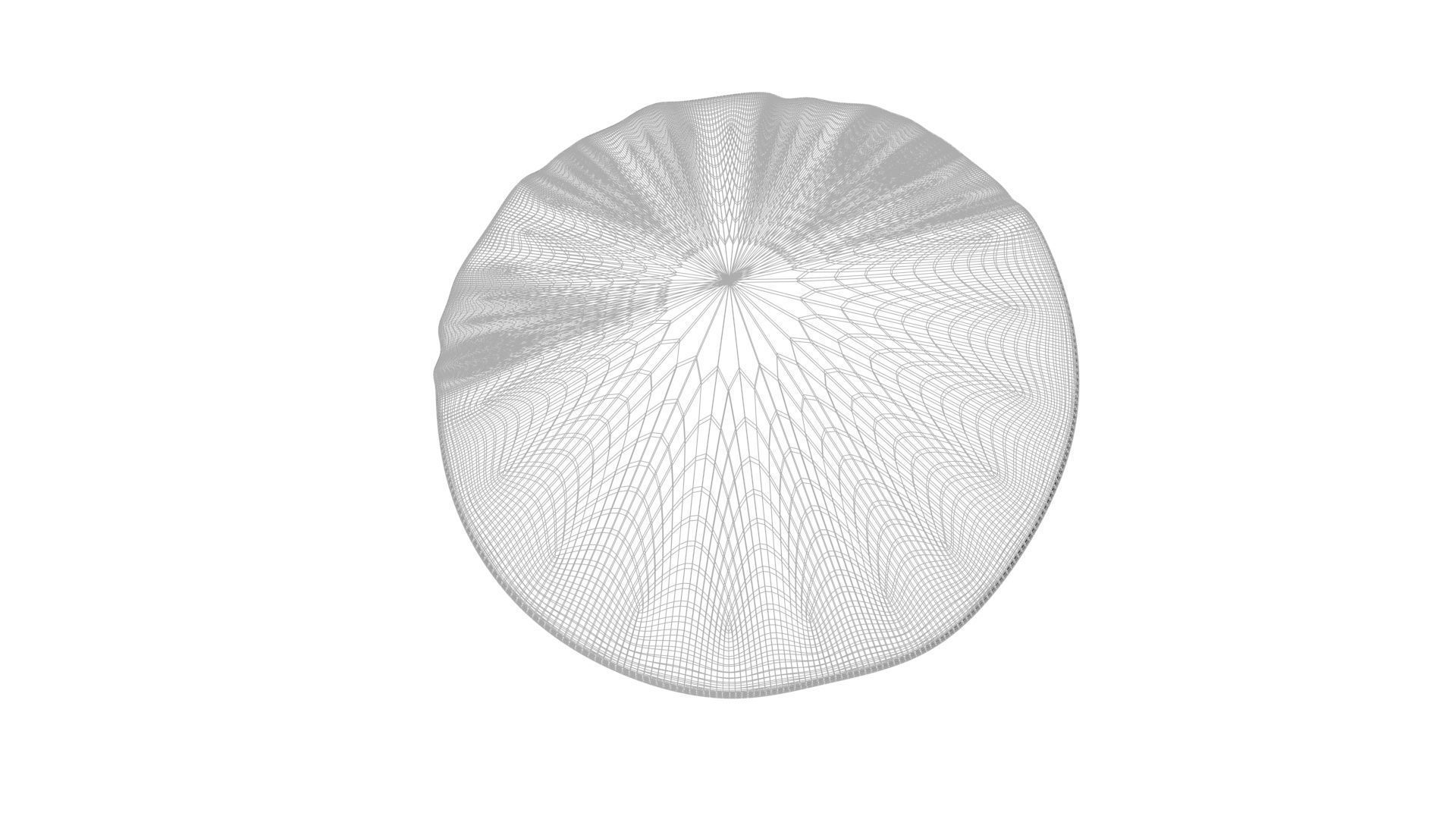 Sliced Lemon 3D model_19