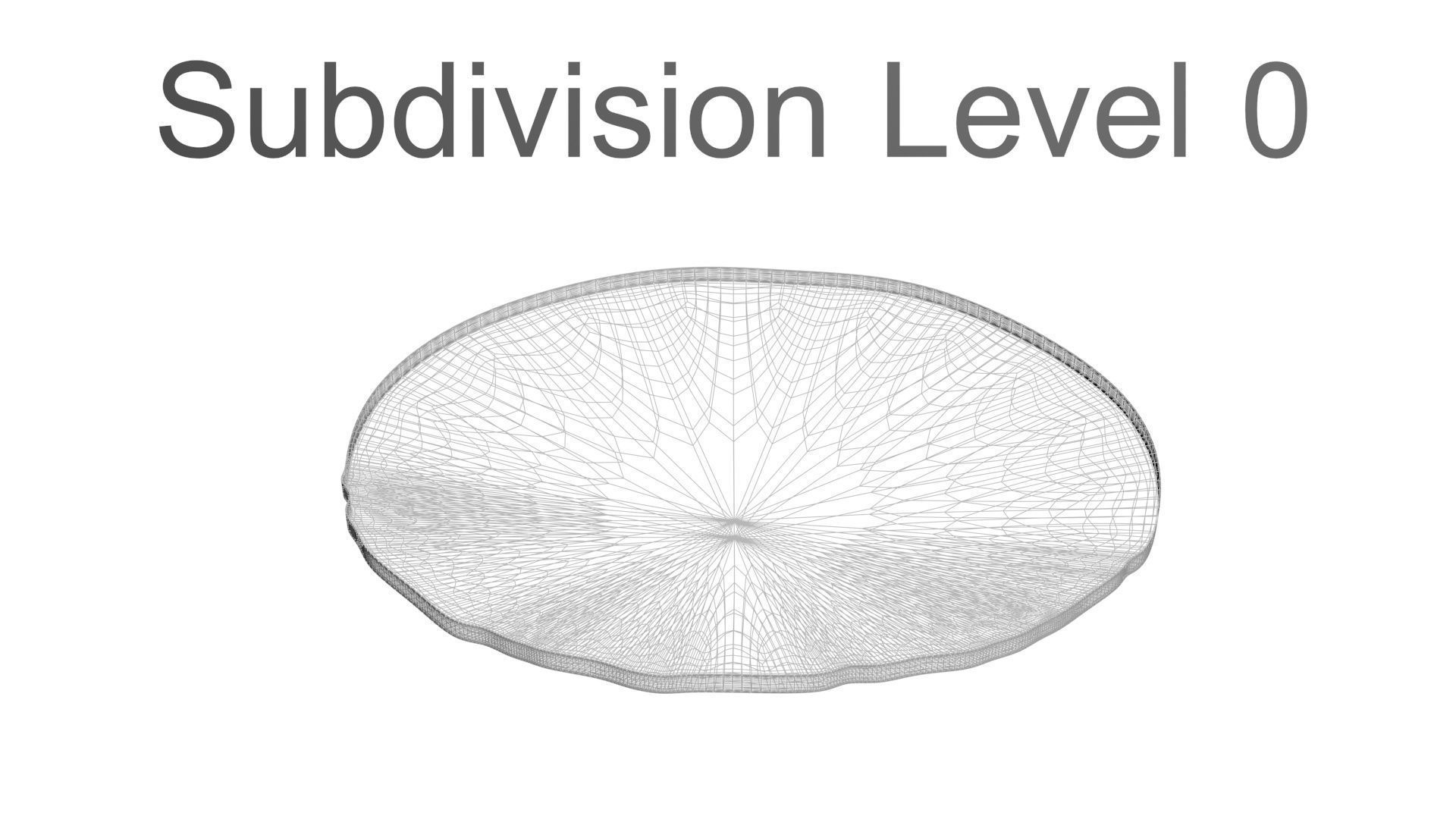 Sliced Lemon 3D model_24