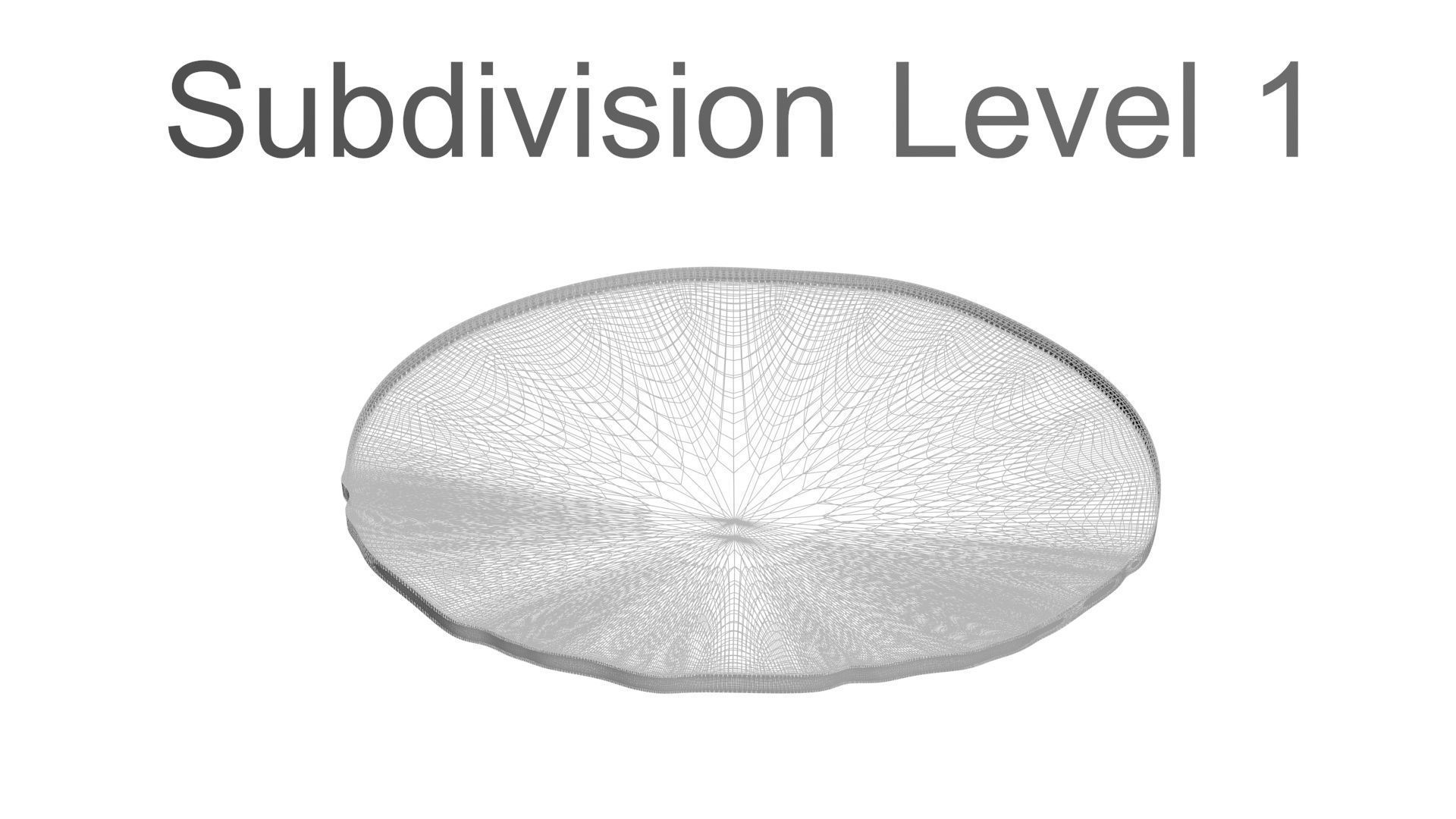 Sliced Lemon 3D model_23