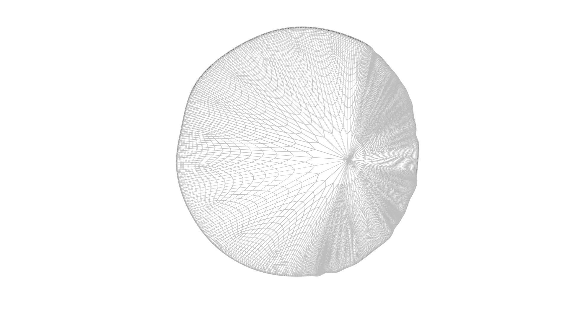 Sliced Lemon 3D model_18