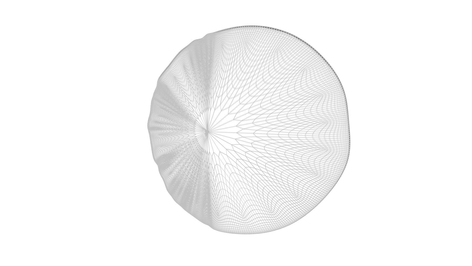 Sliced Lemon 3D model_16