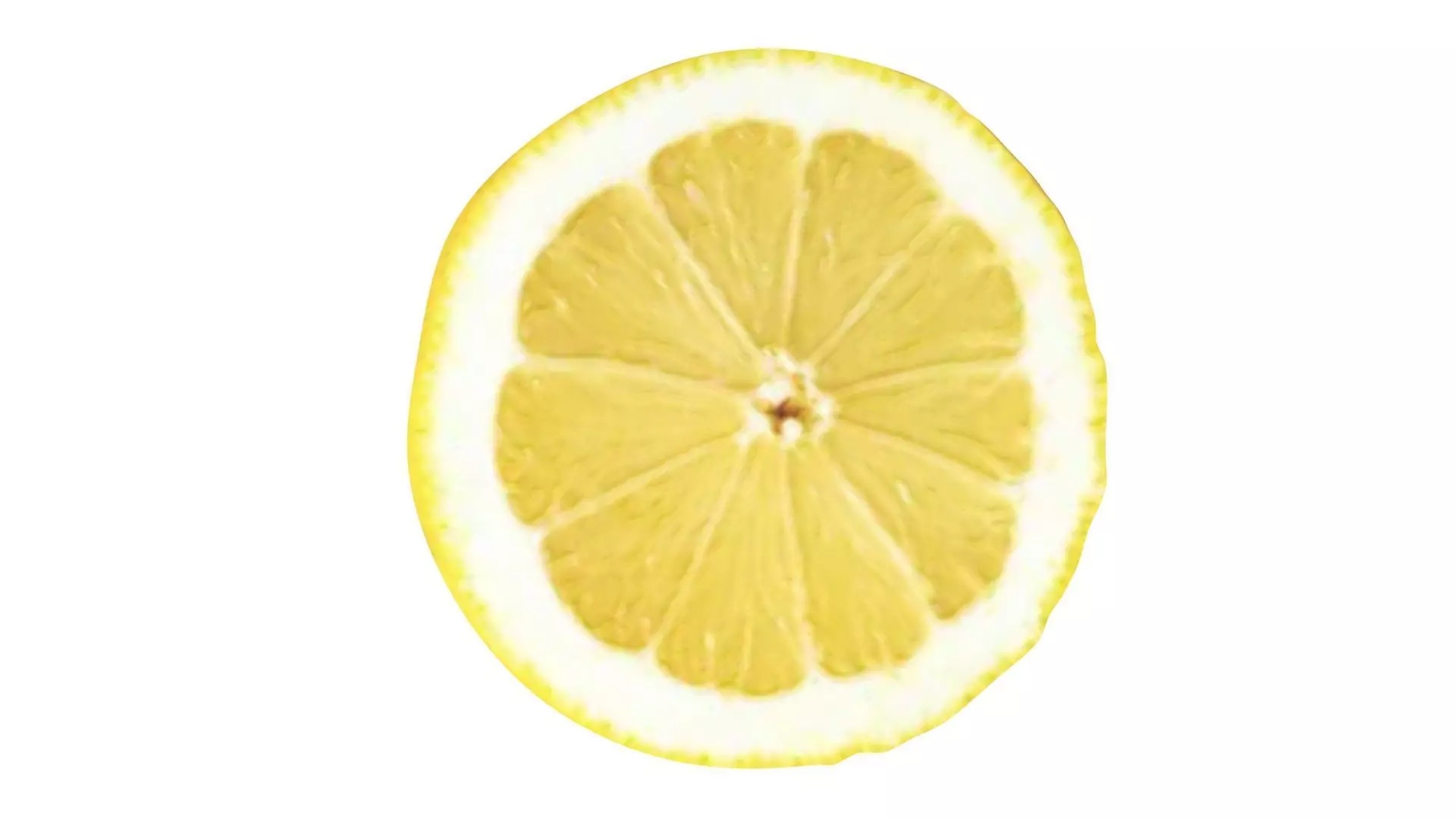 Sliced Lemon 3D model_11
