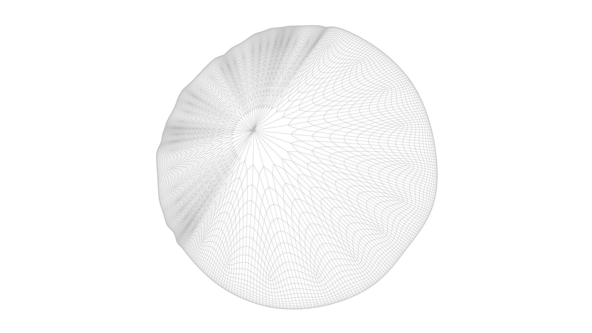 Sliced Lemon 3D model_22