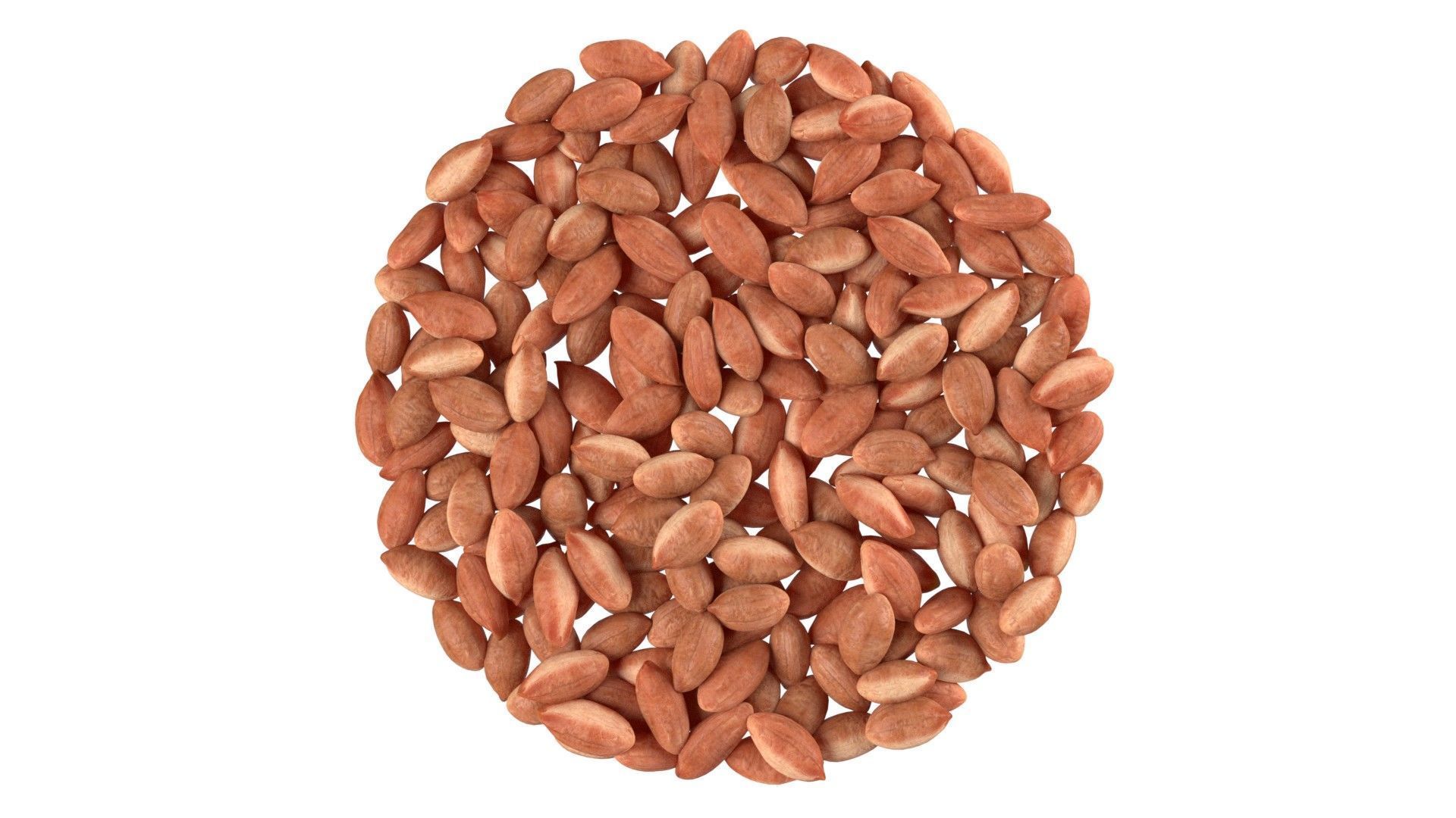 Peanut kernel brown bowl   Low-poly 3D model_4