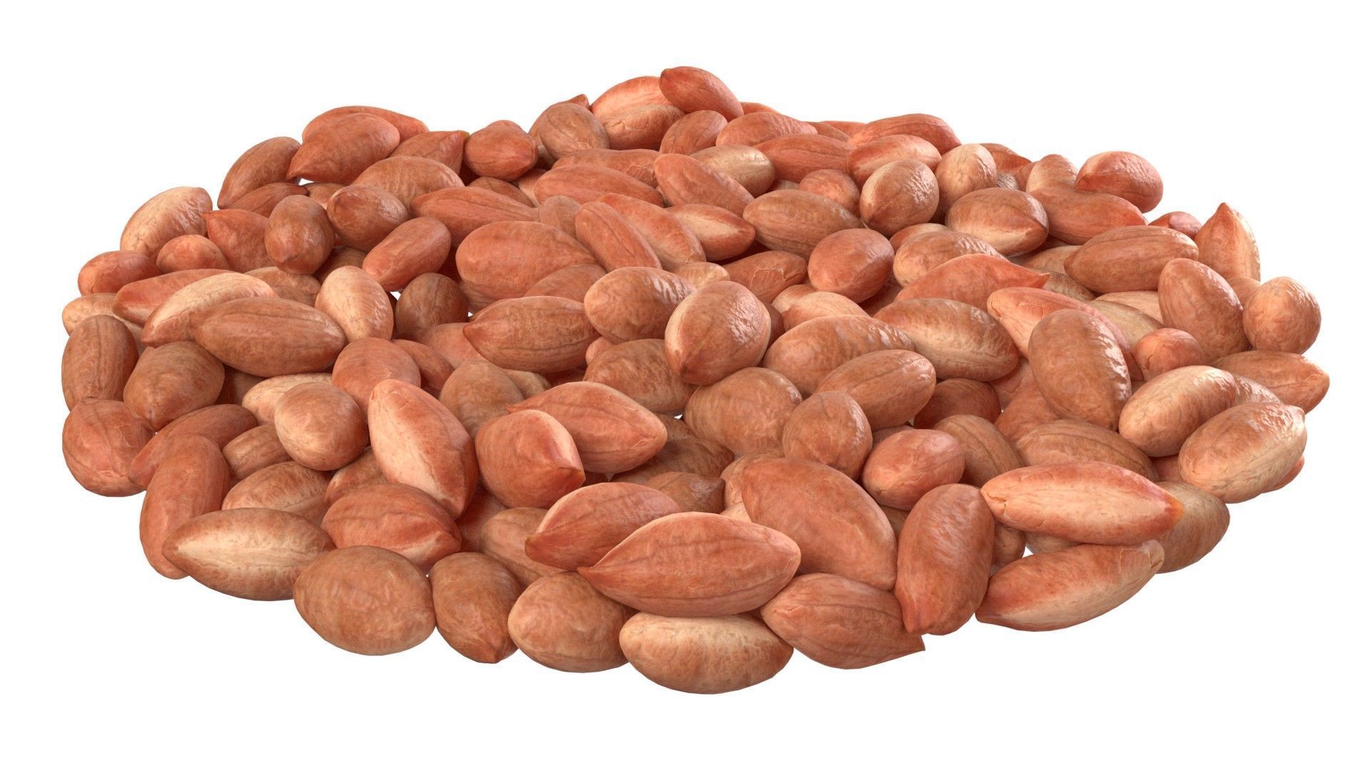 Peanut kernel brown bowl   Low-poly 3D model_5