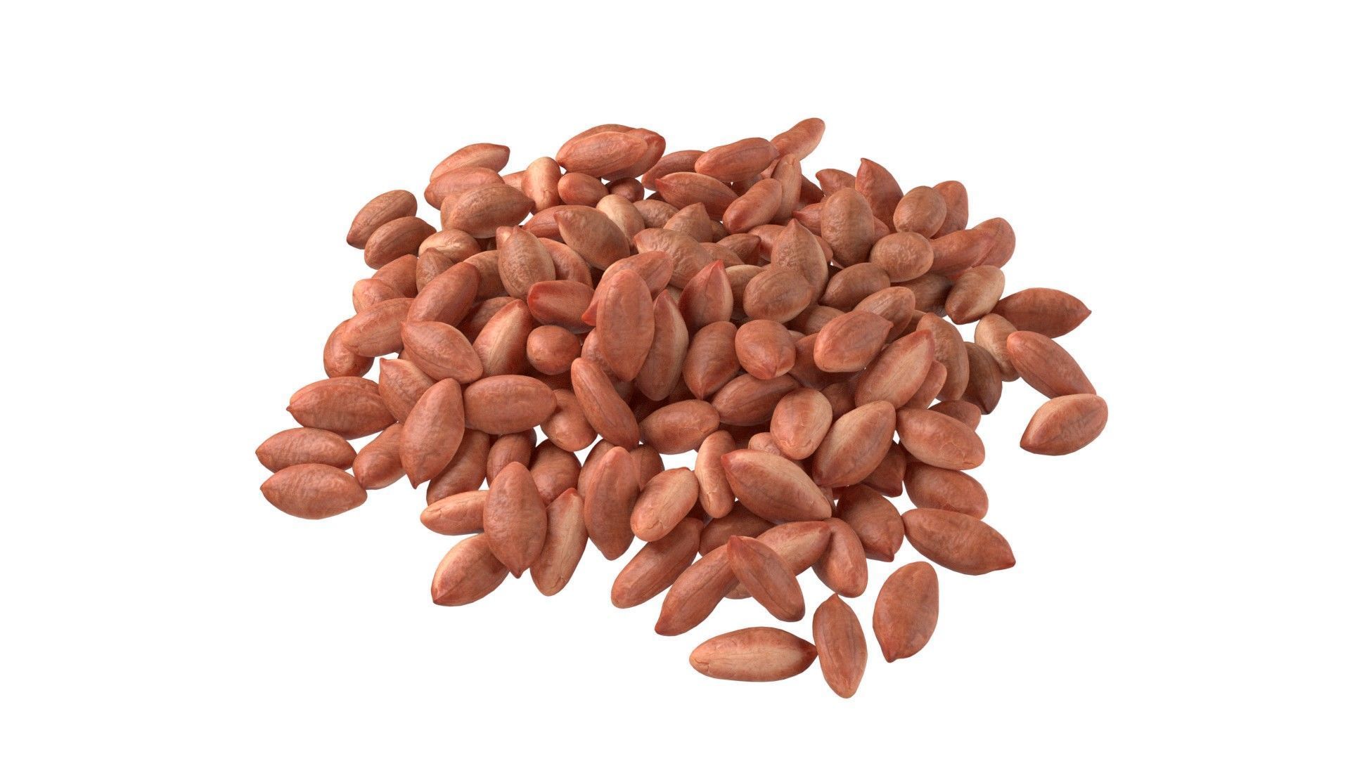 Peanut kernel brown pile Low-poly 3D model_2