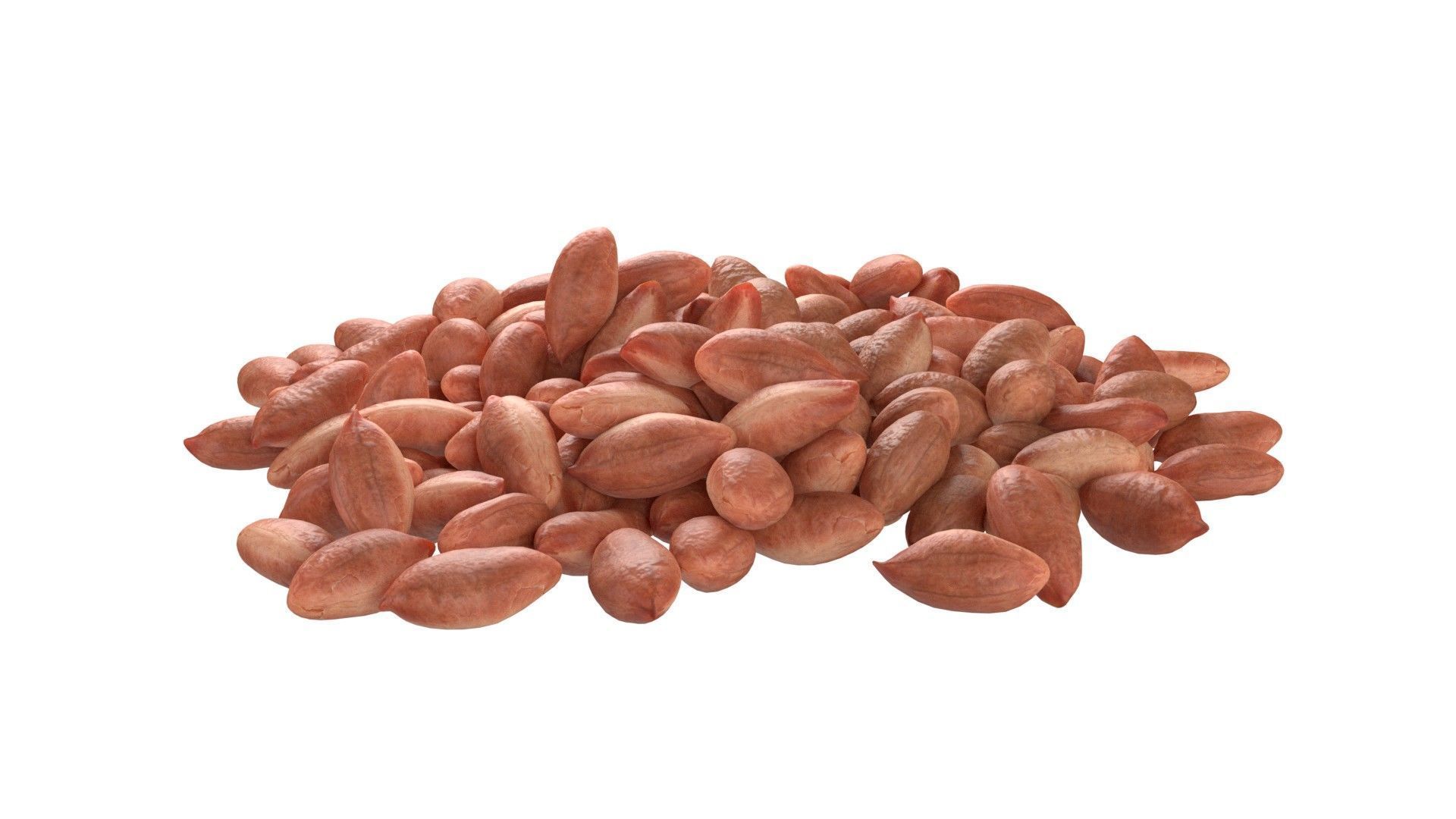Peanut kernel brown pile Low-poly 3D model_5