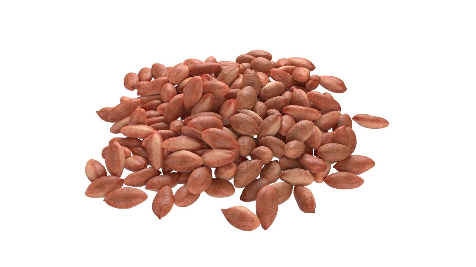 Peanut kernel brown pile Low-poly 3D model_1