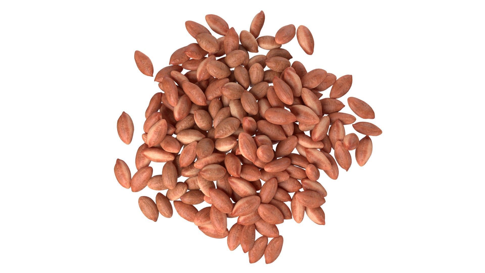 Peanut kernel brown pile Low-poly 3D model_4