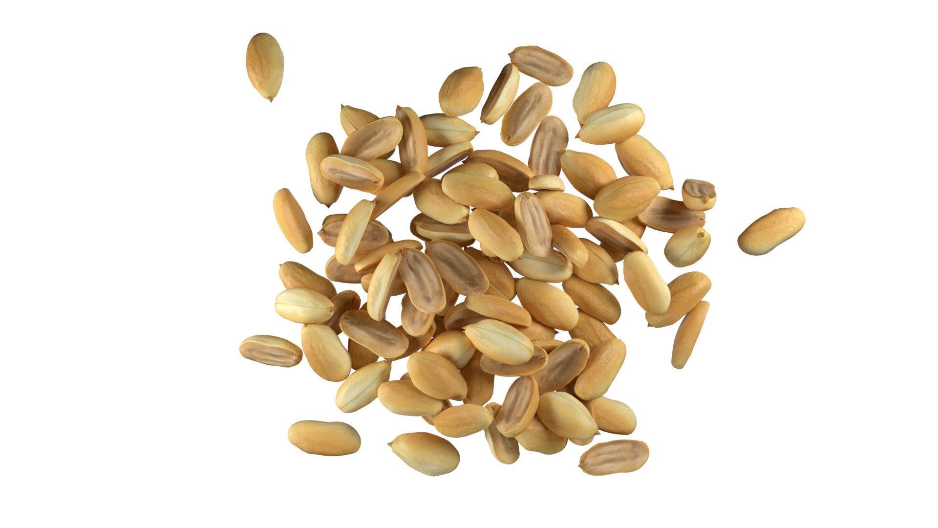Peanut kernel half and full pile    Low-poly 3D model_2