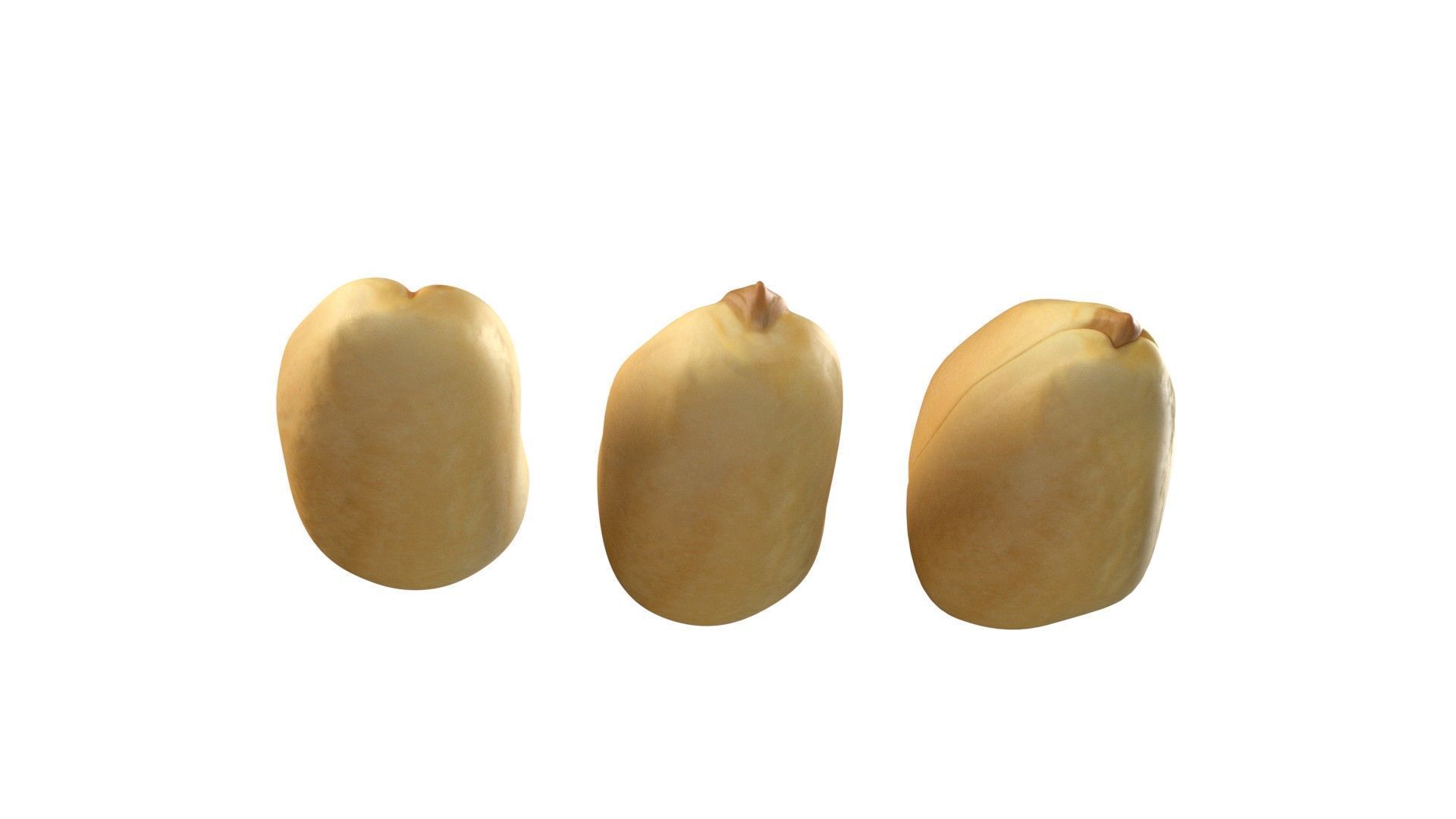 Peanut kernel white  Low-poly 3D model_5