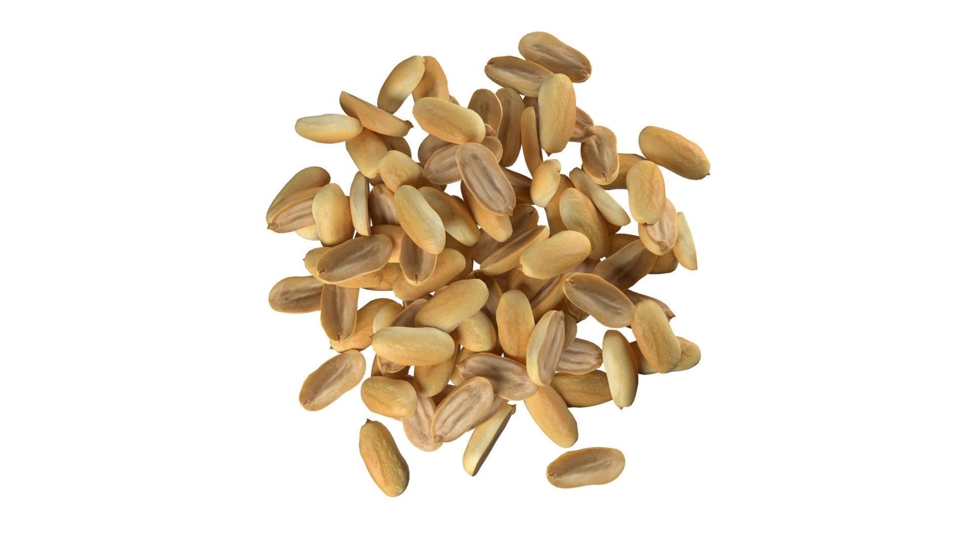 Peanut kernel white half pile Low-poly 3D model_3