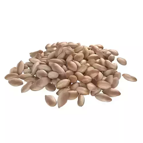 Peanut kernel white pile   Low-poly 3D model
