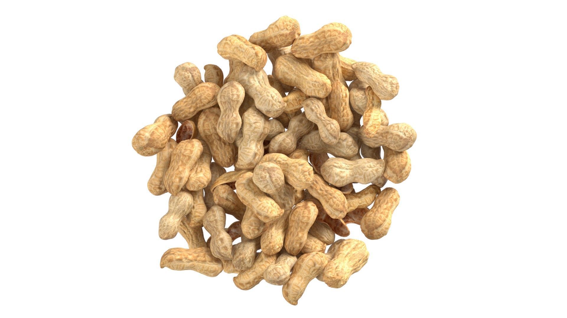 Peanut whole bowl   Low-poly 3D model_6