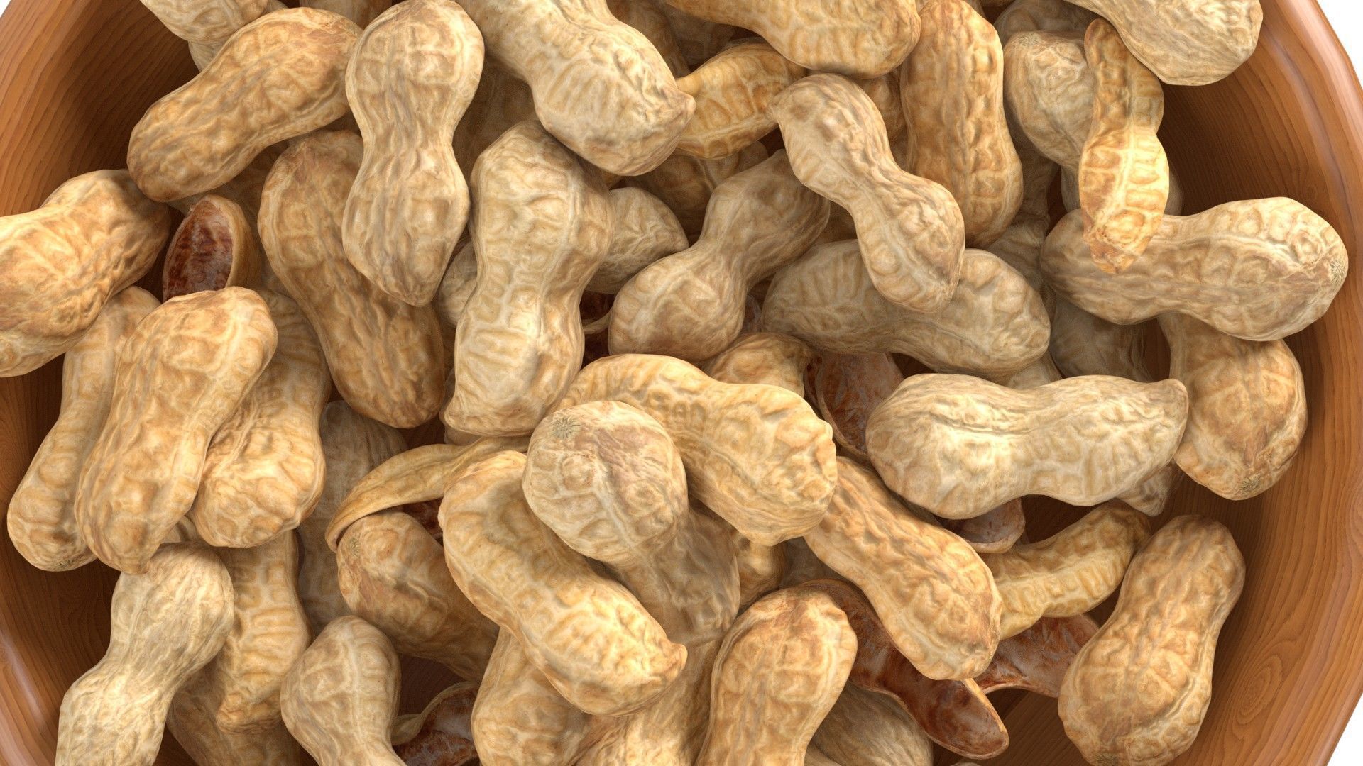 Peanut whole bowl   Low-poly 3D model_5