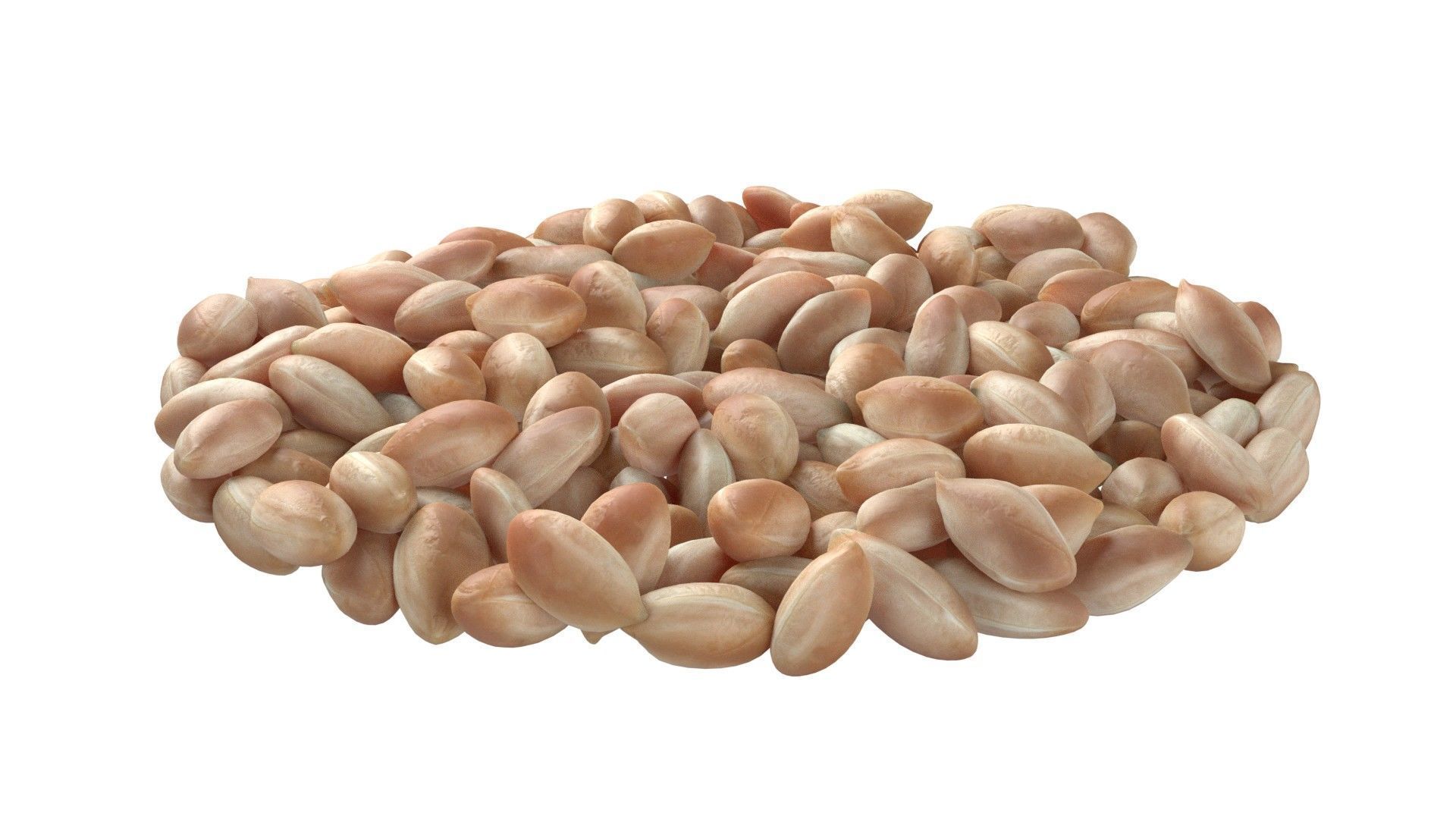 Pranut kernel white bowl Low-poly 3D model_5