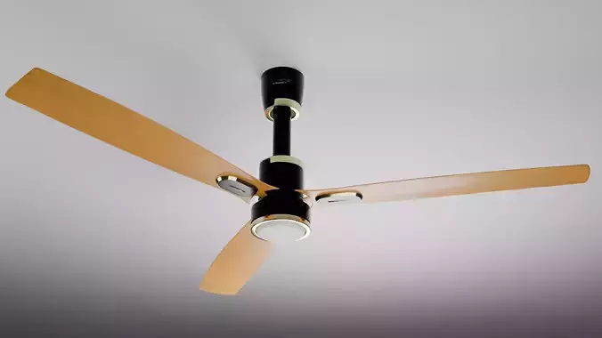 BLDC ceiling fan