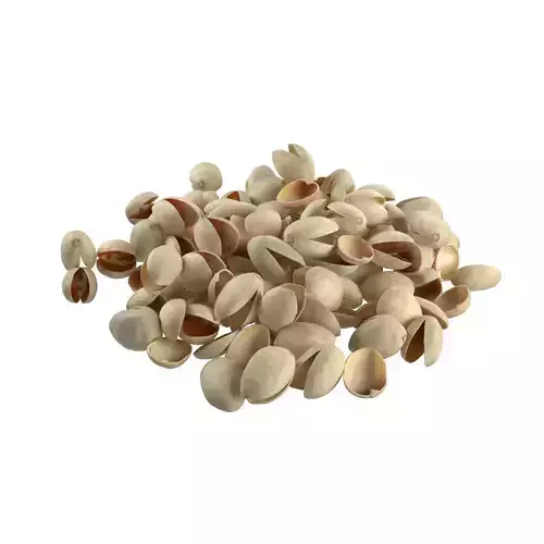 Pistachio  Shell Pile 