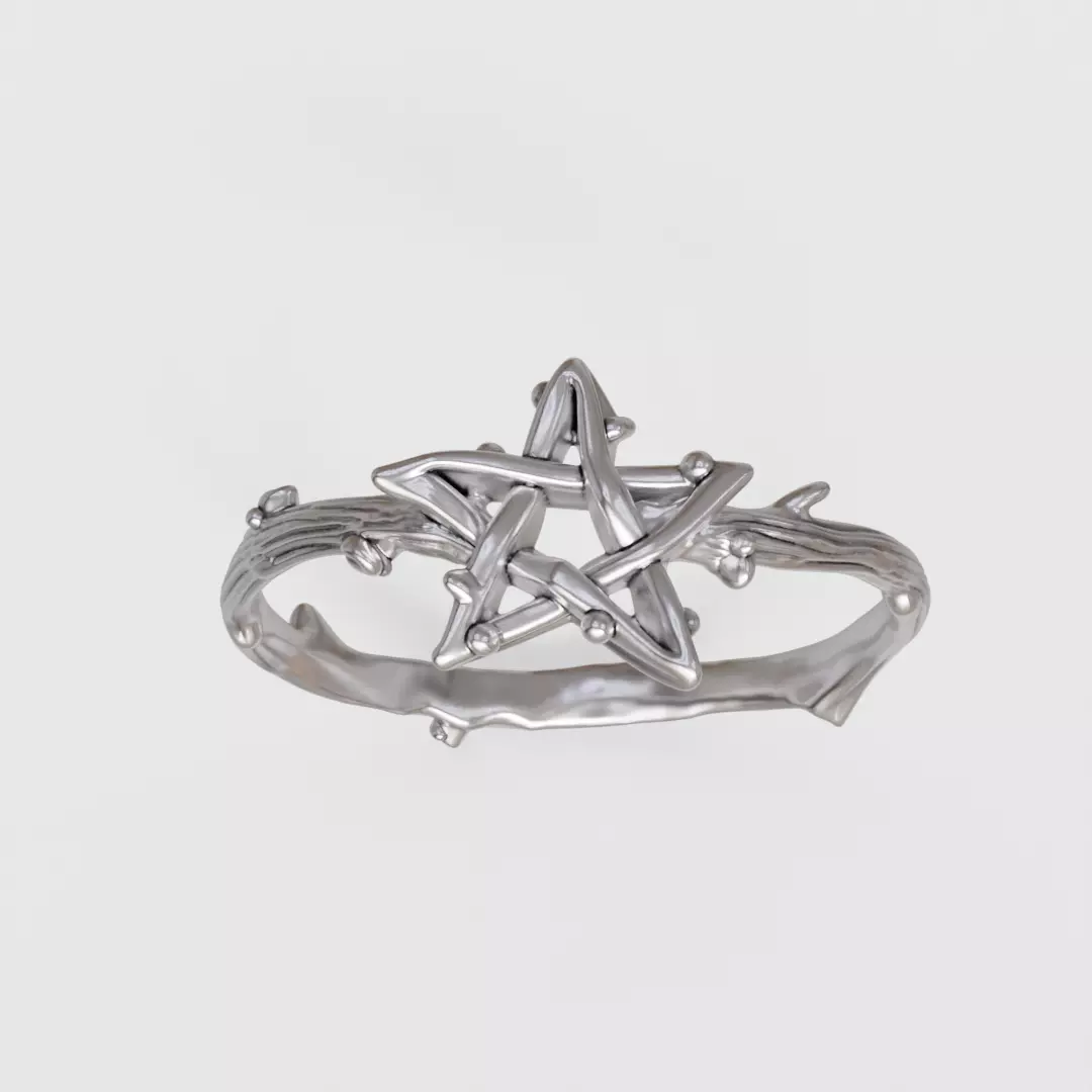 Star ring 3D print model