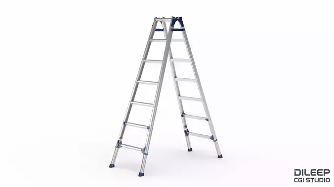 Folding Extension Ladder 3D model