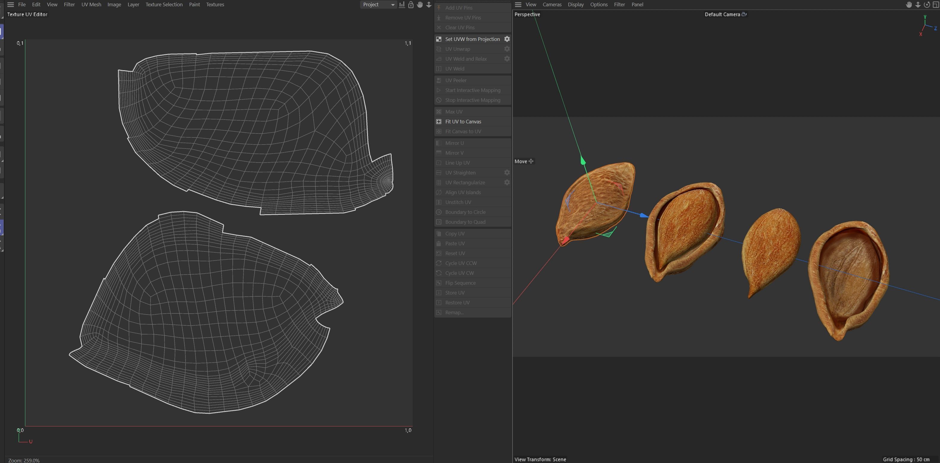 Plum Seed  Low-poly 3D model_7