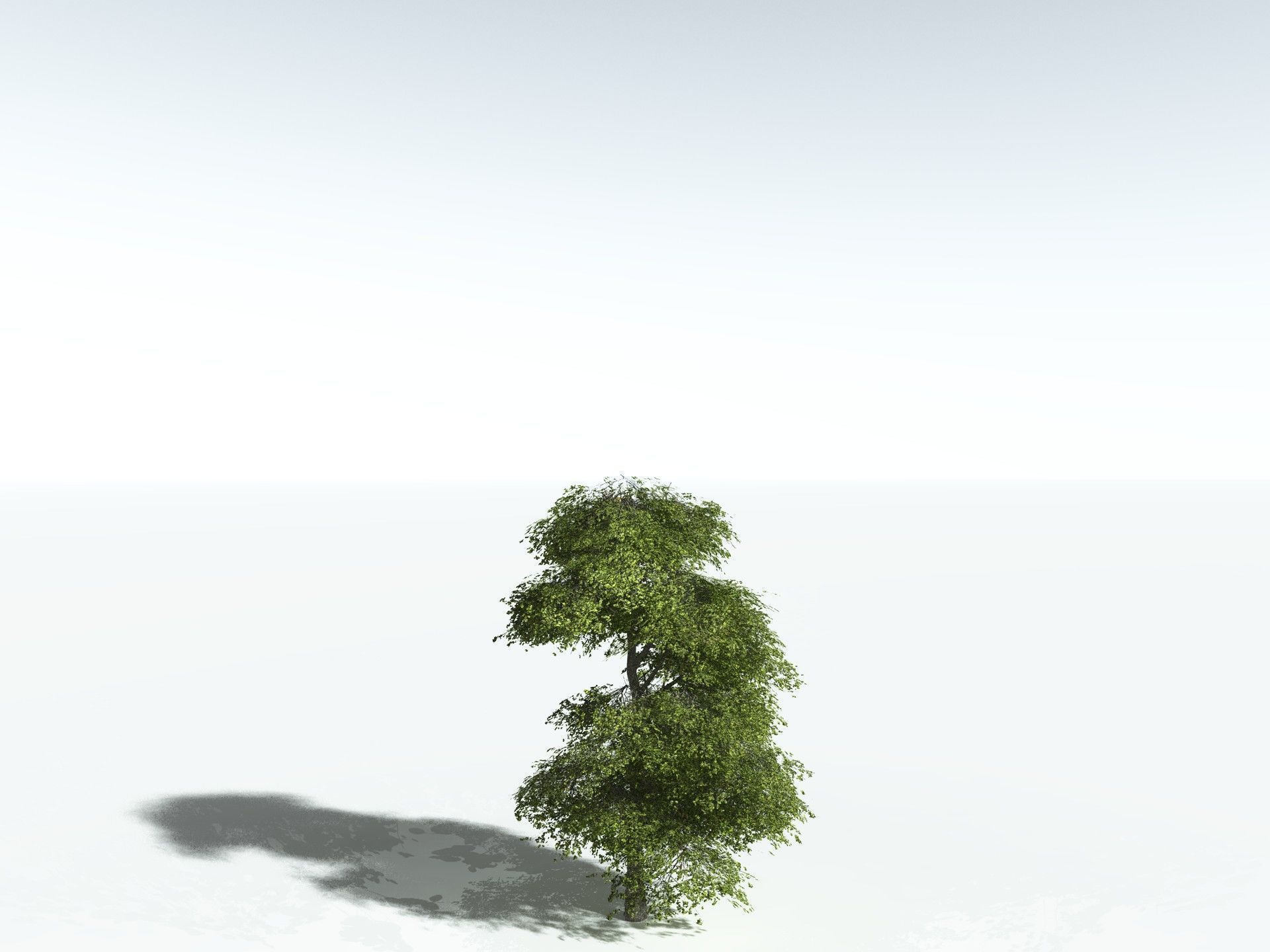 EVERYPlant Red Mangrove 3D model_24