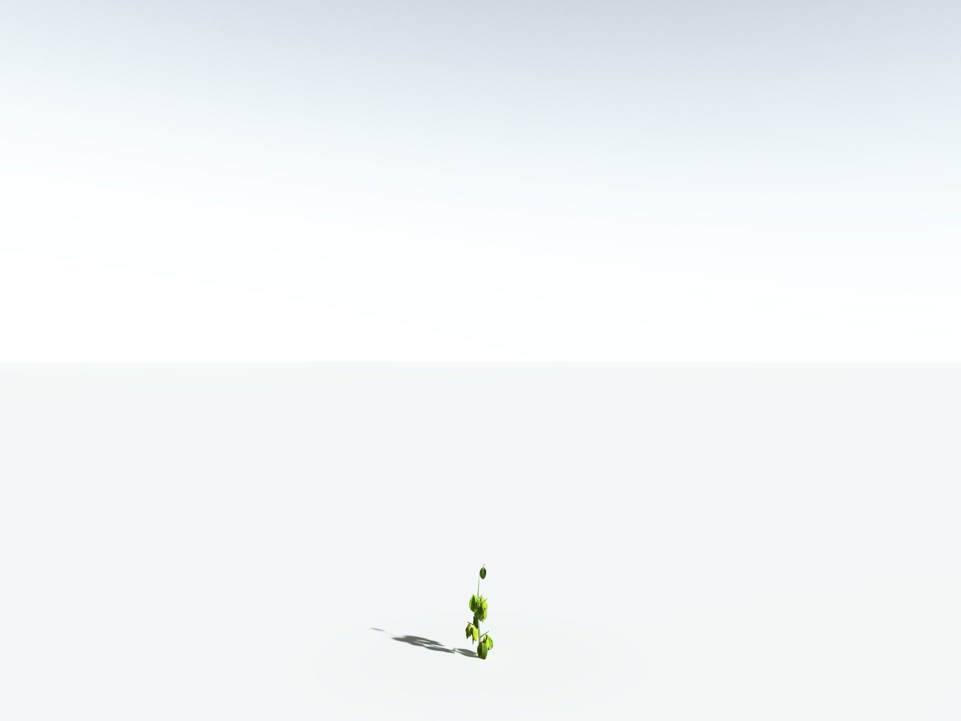 EVERYPlant Red Mangrove 3D model_31