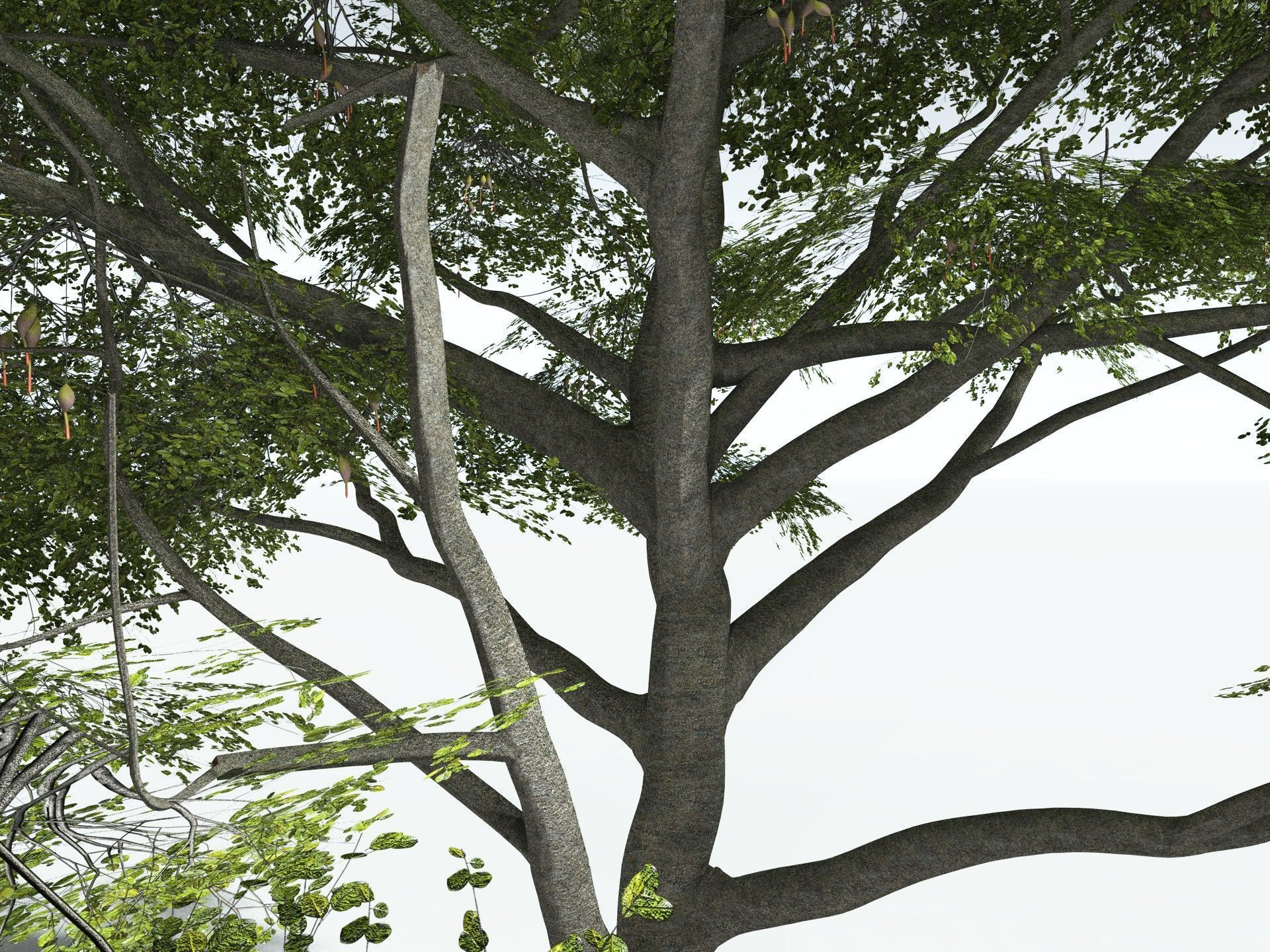 EVERYPlant Red Mangrove 3D model_21