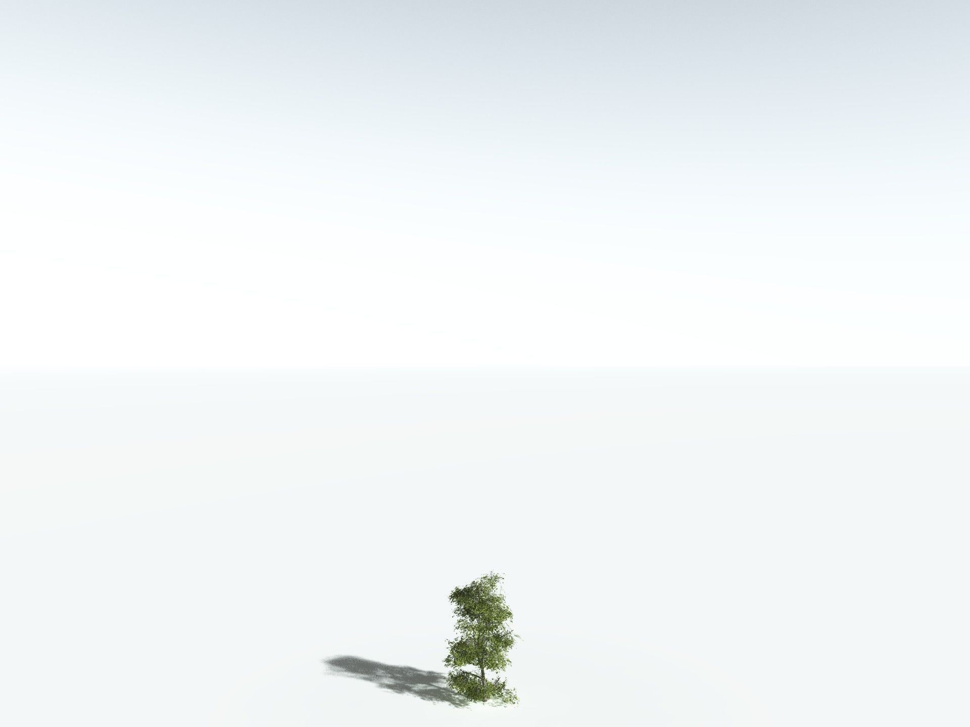 EVERYPlant Red Mangrove 3D model_26