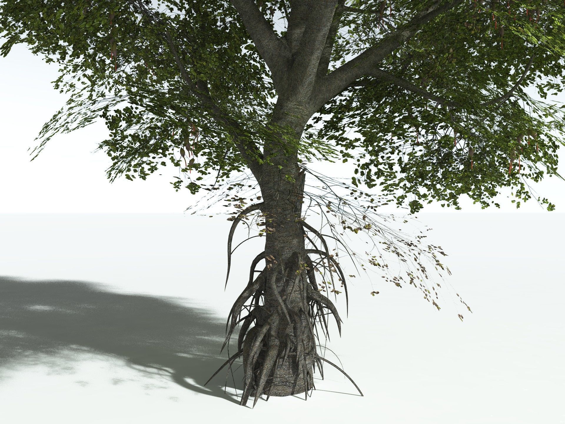 EVERYPlant Red Mangrove 3D model_23